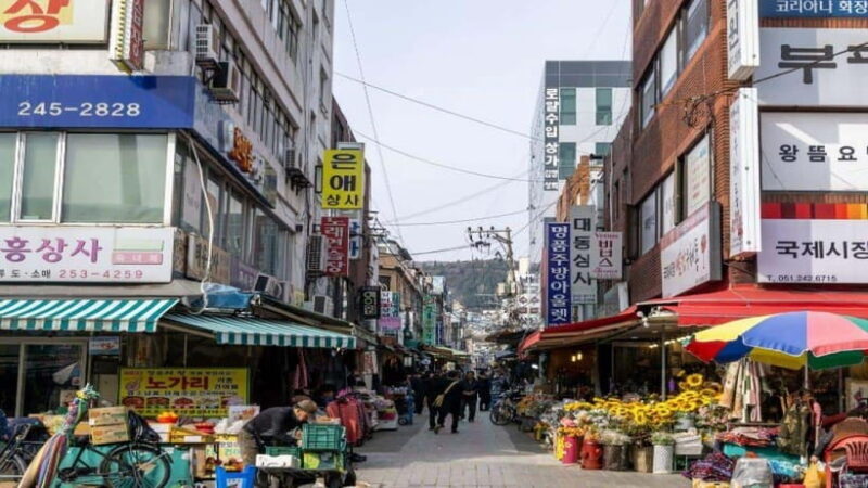 Busan: Jagalchi Market & Gamcheon village Walking Tour - Busan: Jagalchi Market & Gamcheon Village Walking Tour
