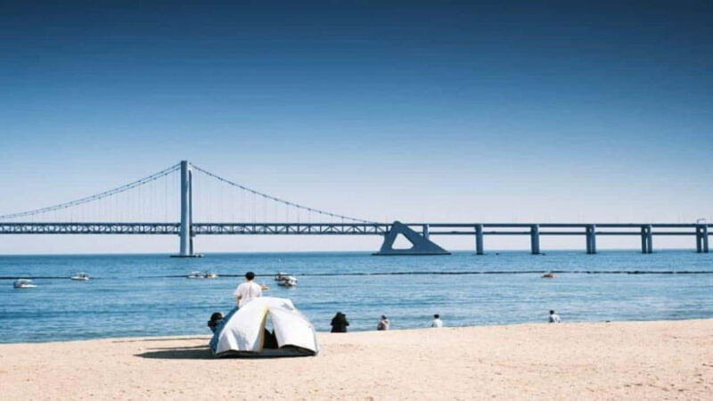 Busan: Jagalchi Market & Gamcheon village Walking Tour - Key Points