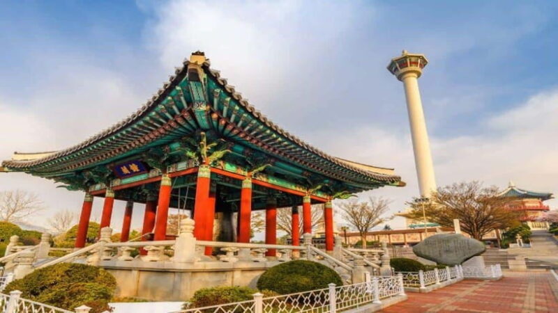 Busan: Jagalchi Market & Gamcheon village Walking Tour - Who Will Love This Tour?