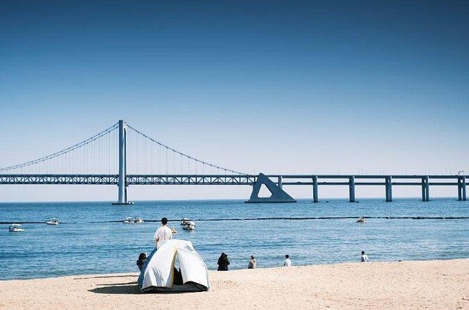 Busan: Jagalchi Market & Gamcheon Village Walking Tour With Guide - Who Should Consider This Tour?