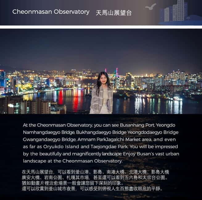 Busan Night Tour & Optional Snapshots - The Sum Up