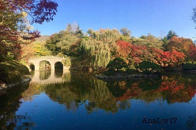 Busan Premium Full-Day Tour - A Closer Look at the Busan Premium Full-Day Tour