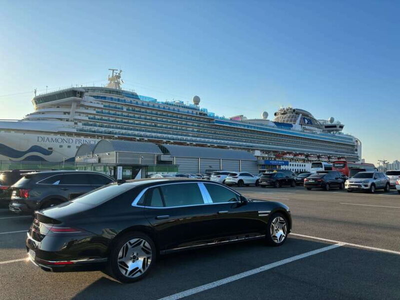 Busan: Private Car Charter Customized City Tour - The Practicalities of a Private Busan Tour