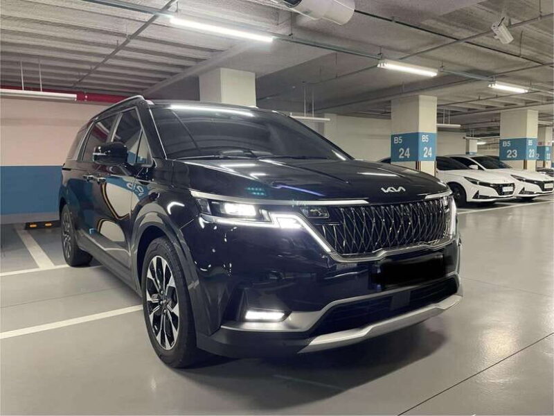 Busan: Private Car Charter Customized City Tour - What the Reviews Say — Authentic Insights from Travelers