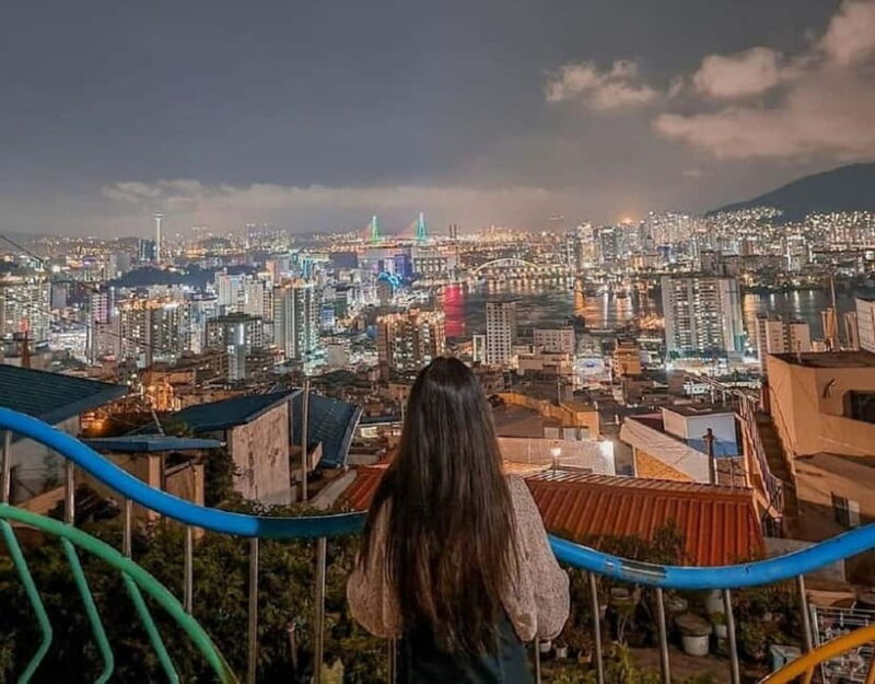 Busan Private Night Tour-City Lights & Food (Up to 7 Guests) - Exploring East and West Busan