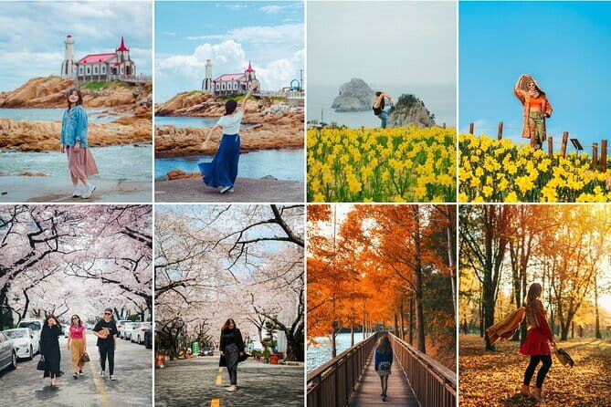 Busan private tour - Who Is This Tour Best For?