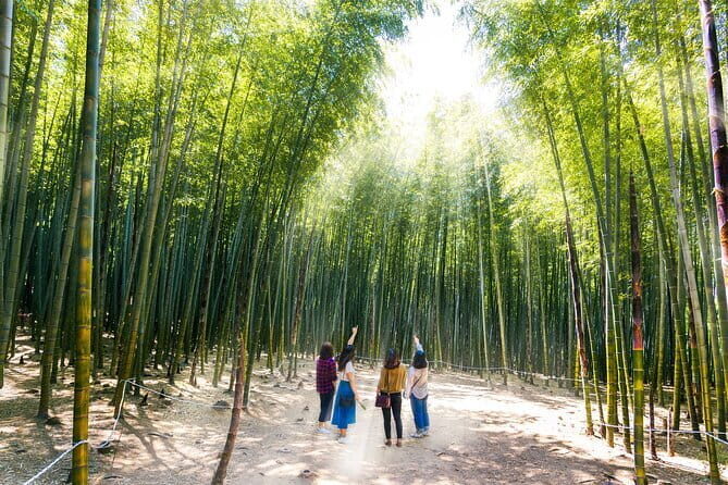 Busan private tour : K-pop dance class + tour - Who Will Love This Tour?