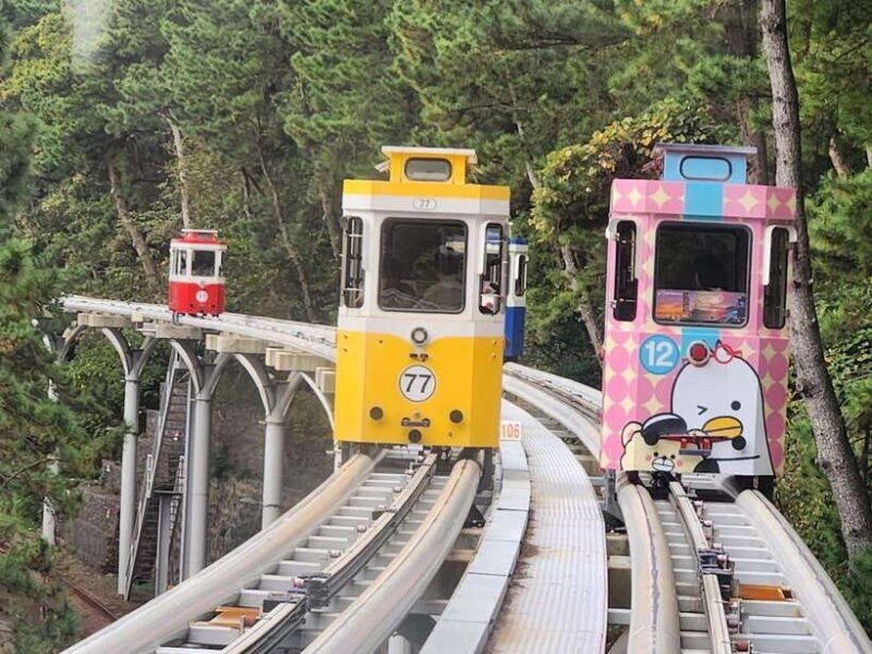 Busan private tour with an official tour guide - Exploring Busan with a Private Guide: An Authentic and Personalized Day