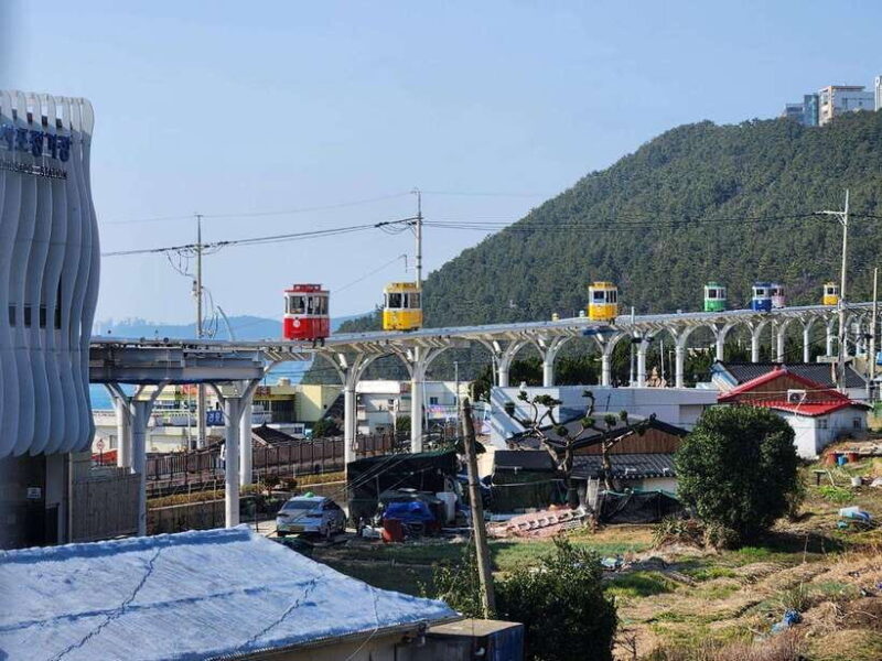 Busan private tour with an official tour guide - Who Should Consider This Tour?