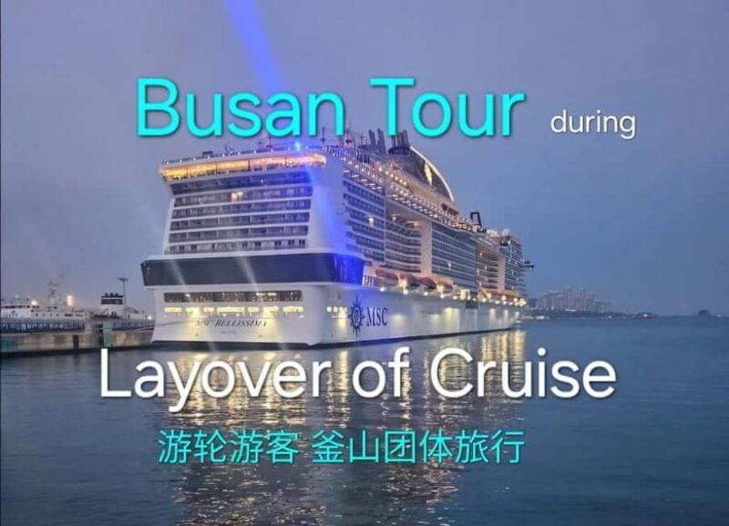 Busan shared Tour for Cruise Ship Passengers Max 15 guests - Key Points