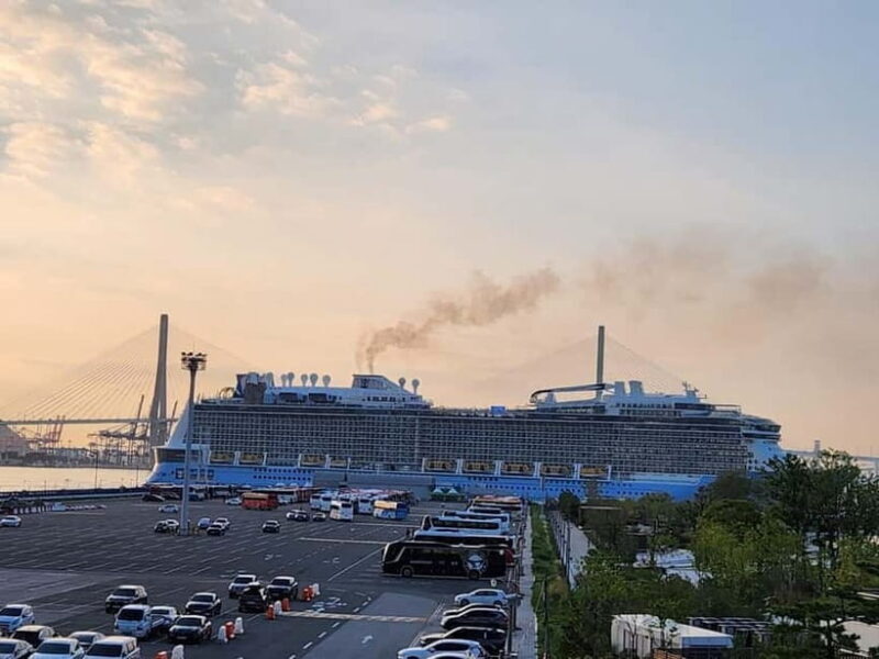 Busan shared Tour for Cruise Ship Passengers Max 15 guests - Exploring Busan: An Authentic Cruise Shore Excursion