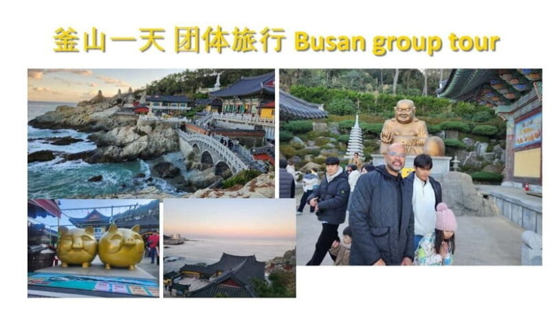 Busan shared Tour for Cruise Ship Passengers Max 15 guests - Final Thoughts: Is It Worth It?