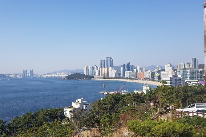 Busan Shore Excursion; Private City Tour - Exploring Busan: The Perfect Private Day Trip