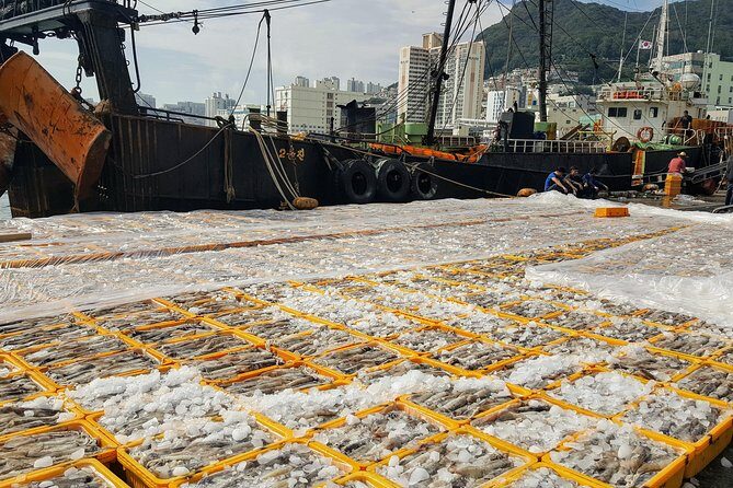 Busan Shore Excursion; Private City Tour - Who This Tour Is Best For