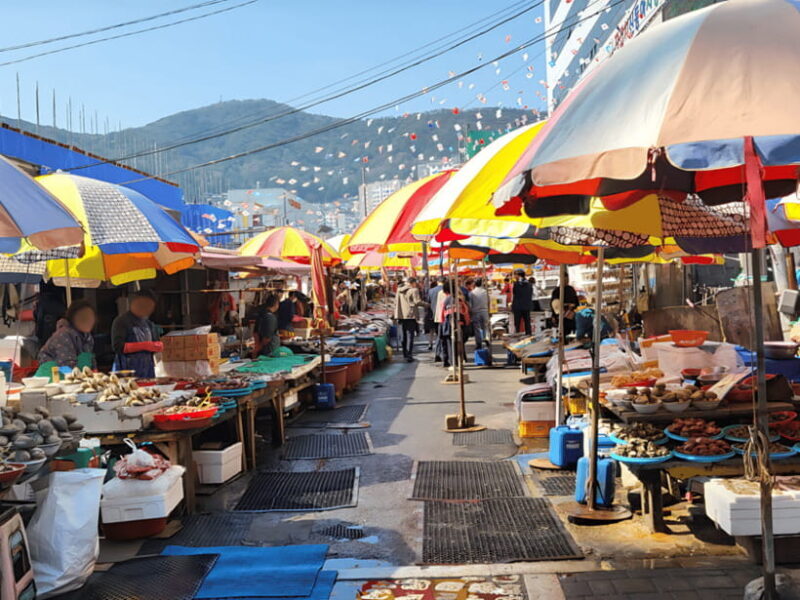 Busan: Sightseeing Tour for Cruise Passengers - Final Thoughts