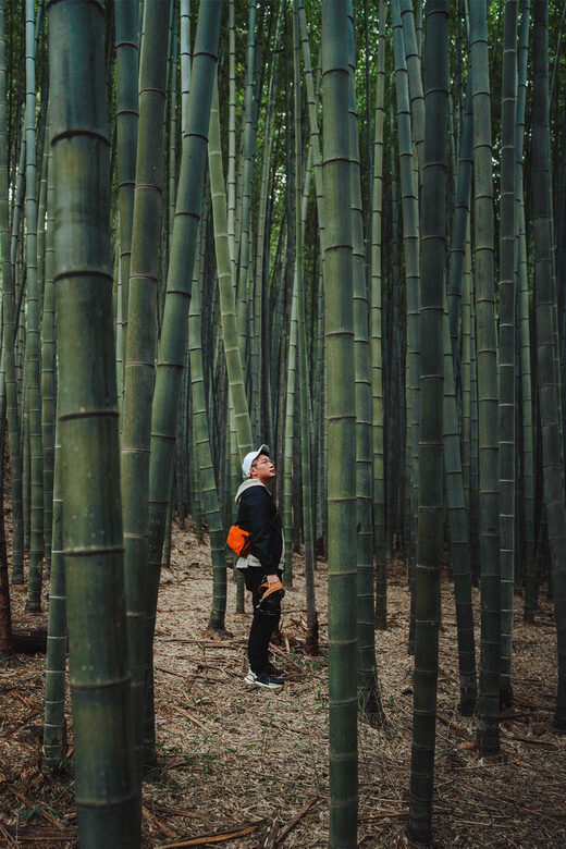 Busan Small Group Photo Tour (Max 6 Pax) - Who Will Love This Tour?