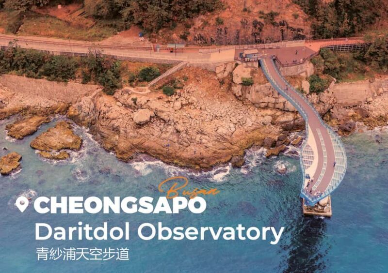 Busan: Sunset & Night Tour with Sky Capsule and The Bay 101 - A Deep Dive into the Busan Night Tour Experience