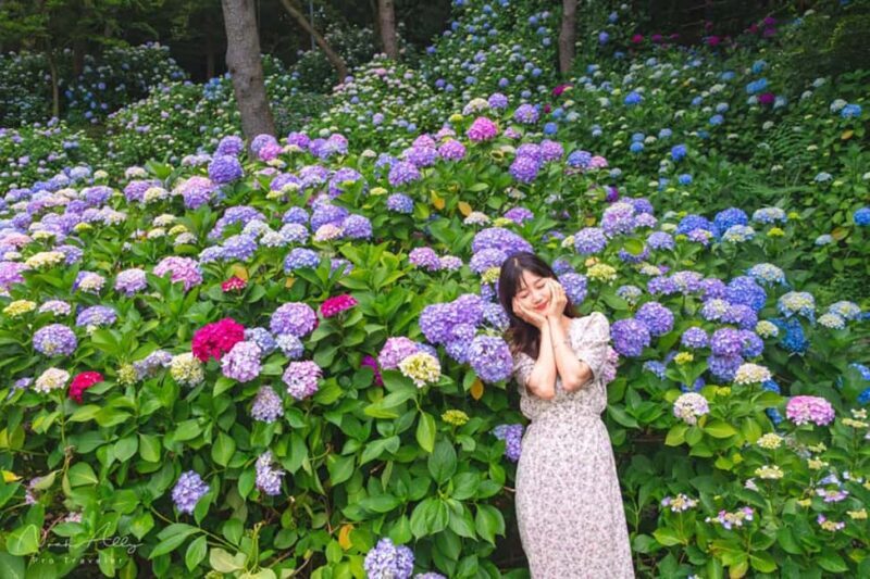 Busan: Taejongdae, Songdo Cable Car, Gamcheon Village &Beach - Key Points