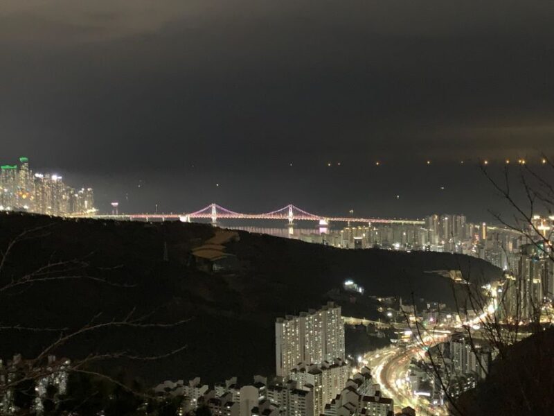 Busan: The best night view small group tour - Key Points