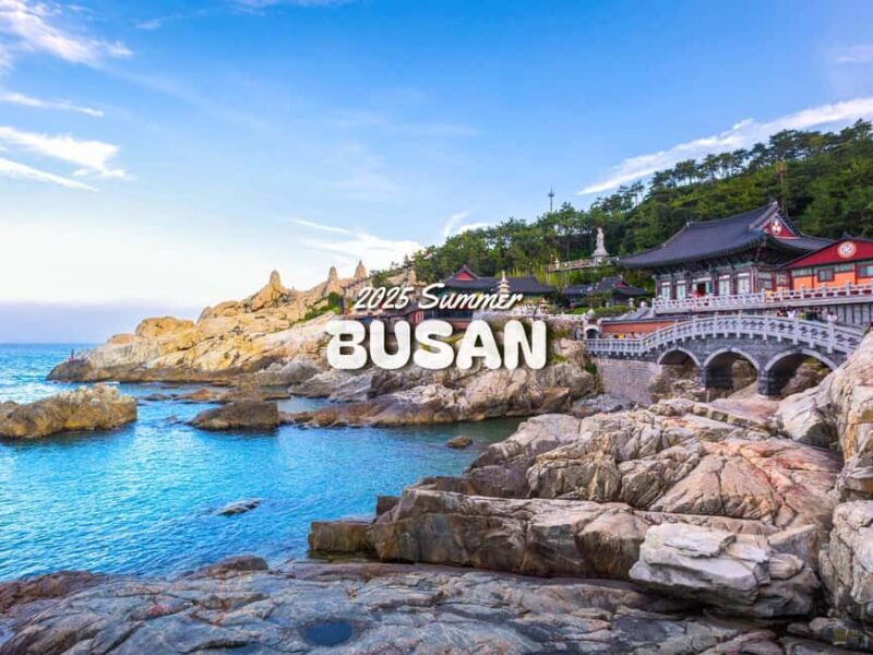 Busan: Top Attractions Authentic One-Day Guided Tour - In-Depth Review: Your Full Day in Busan