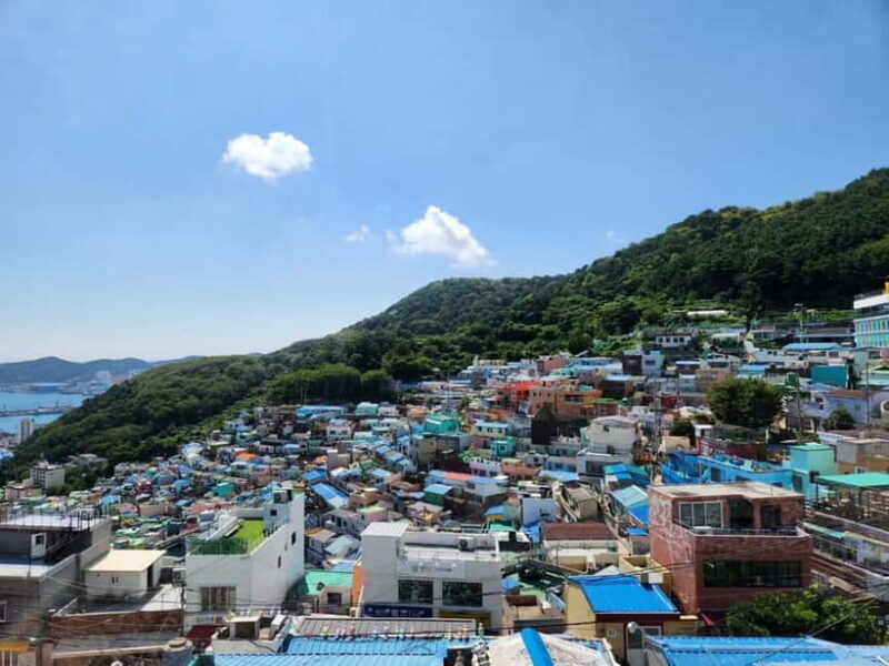 Busan Tour with Gamcheon Village & haedong yonggungsa temple - A detailed look at what makes this tour stand out