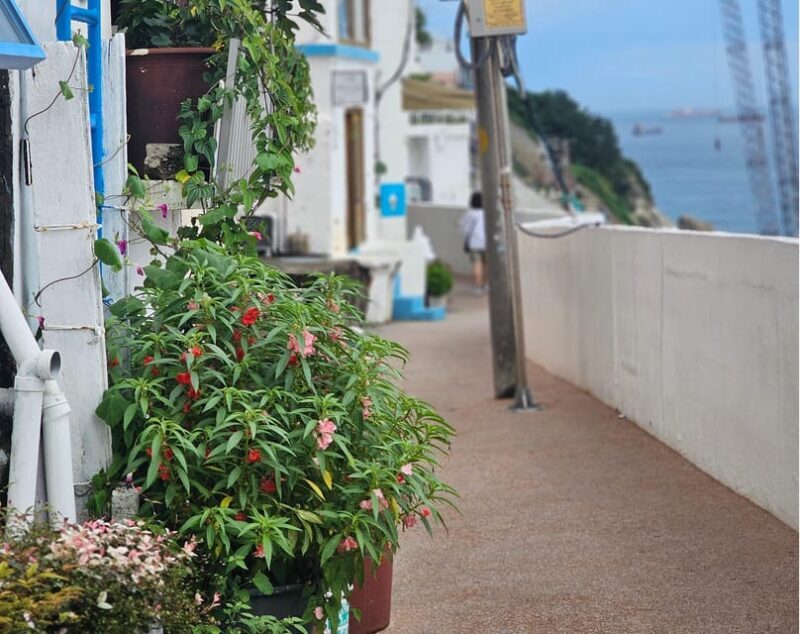 Busan Tour:Taejongdae + Huinnyeoul + Gamcheon +SongdoSkywalk - FAQ