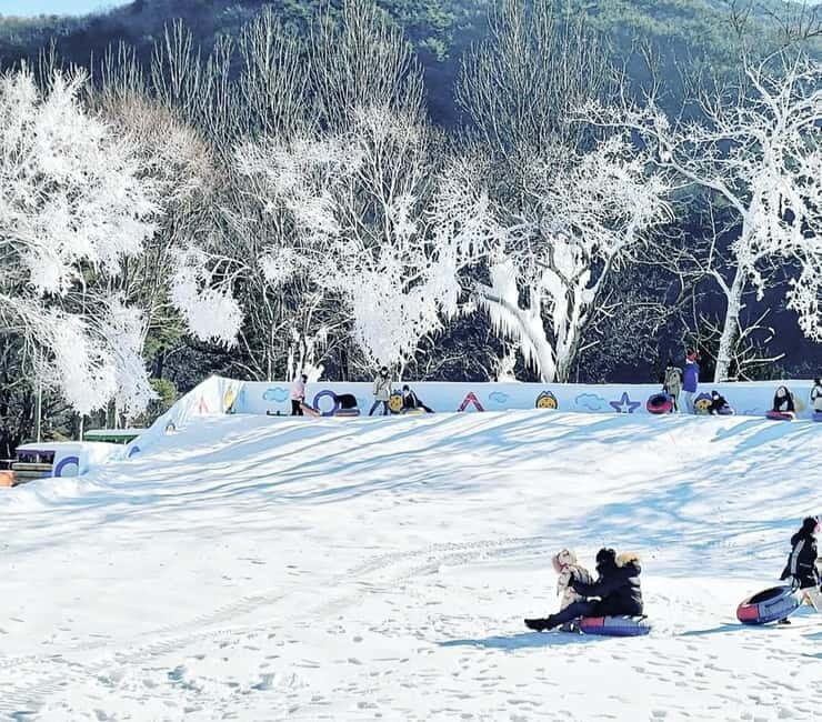 Busan: Winter Healing Park and (Gyeongju/Daegu) One Day Tour - The Sum Up