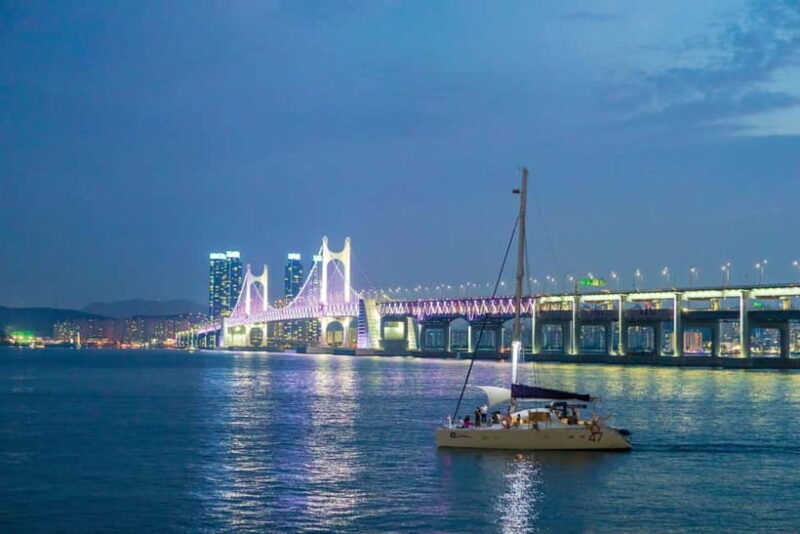 Busan: Your Private Custom Tour Half/Full - Key Points