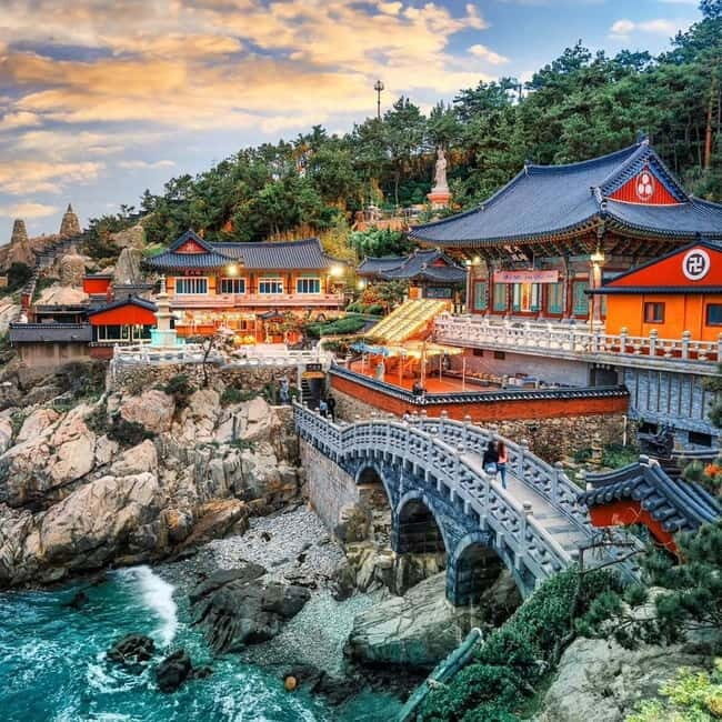 Busan: Your Private Custom Tour Half/Full - The Full-Day Tour: Deeper Diving into Busan and Nearby Regions