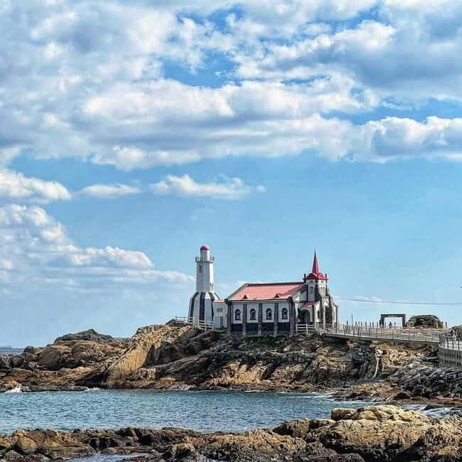 Busan: Your Private Custom Tour Half/Full - Authentic Experiences & Local Flavor