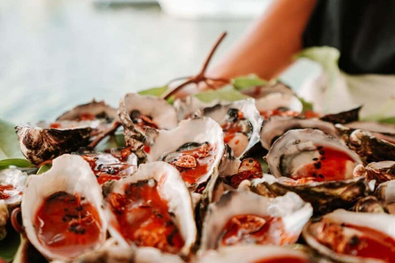 Bushtucker Cultural Cruise - FAQ