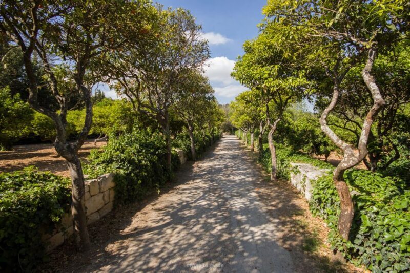 Buskett Woodlands and Dingli Cliffs Private Nature Tour - Frequently Asked Questions (FAQs)