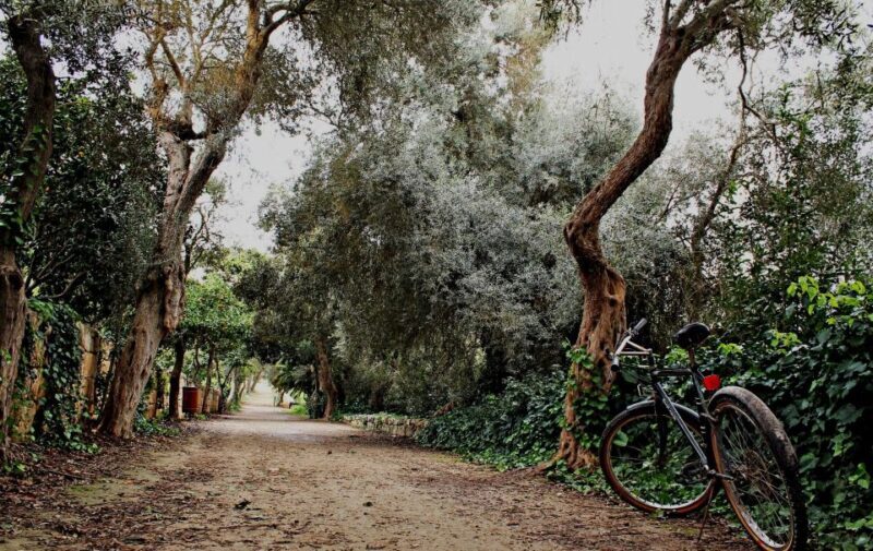 Buskett Woodlands and Dingli Cliffs Private Nature Tour - Wrapping It Up