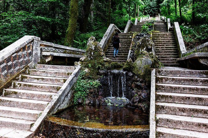 Bussaco Palace, Gardens & Forest - Who Should Consider This Tour?