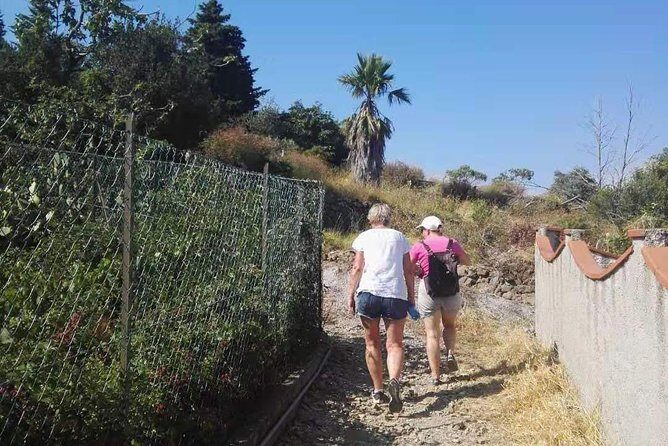 Bussana: a ghost village saved by art - FAQ