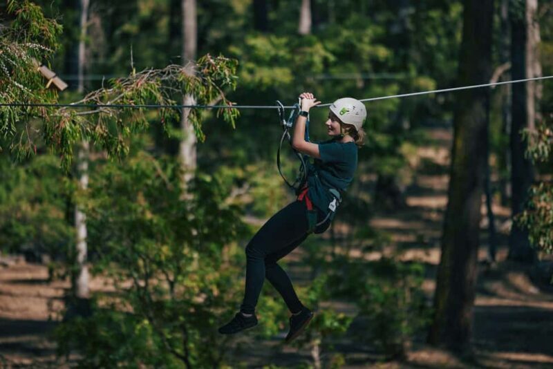 Busselton: Forest Adventure with Zip Lining and Rope Course - Key Points