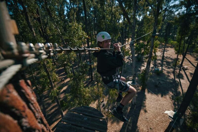 Busselton: Forest Adventure with Zip Lining and Rope Course - The Itinerary: What You’ll Experience