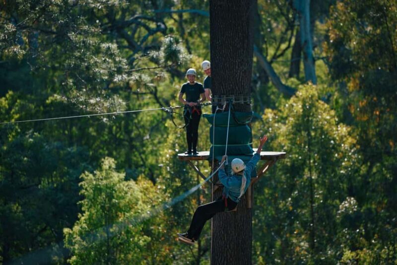 Busselton: Forest Adventure with Zip Lining and Rope Course - Who Will Love This?