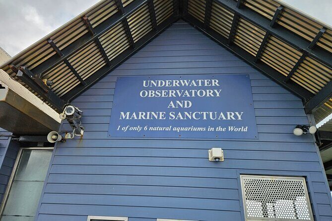 Busselton Jetty and Underwater Observatory - An In-Depth Look at the Busselton Jetty and Underwater Observatory Tour