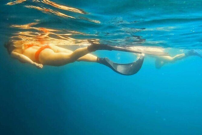 Busselton Jetty and Underwater Sculptures Snorkel Boat Tour - An In-Depth Look at the Busselton Snorkel Tour