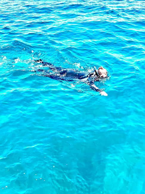 Busselton: Jetty Snorkeling Tour with Underwater Sculptures - Who Would Enjoy This Tour?