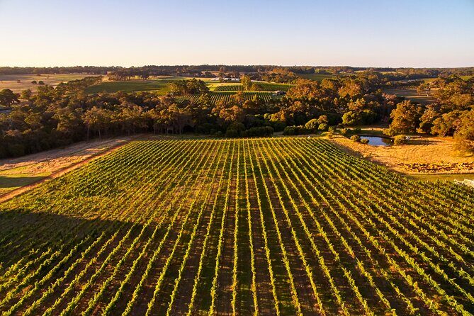 Busselton, Margaret River and Augusta 2-Day Tour from Perth - An In-Depth Look at the Margaret River 2-Day Tour