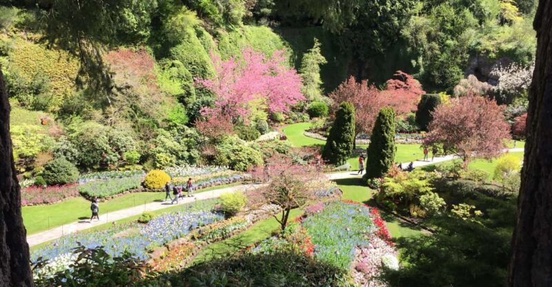 Butchart & Beyond: The Grand Victoria Tour - Exploring Victoria: A Blend of Gardens, Castles, and Hidden Gems