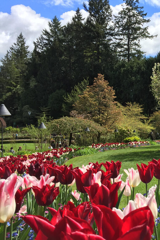 Butchart & Beyond: The Grand Victoria Tour - Who Should Consider This Tour?