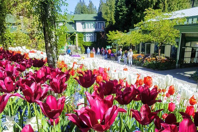 Butchart Gardens and City Highlights Private tour - Key Points