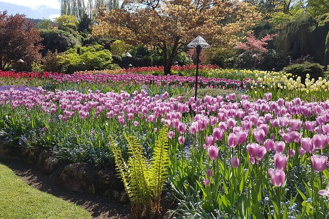 Butchart Gardens and City Highlights Private tour - Value and Practical Considerations