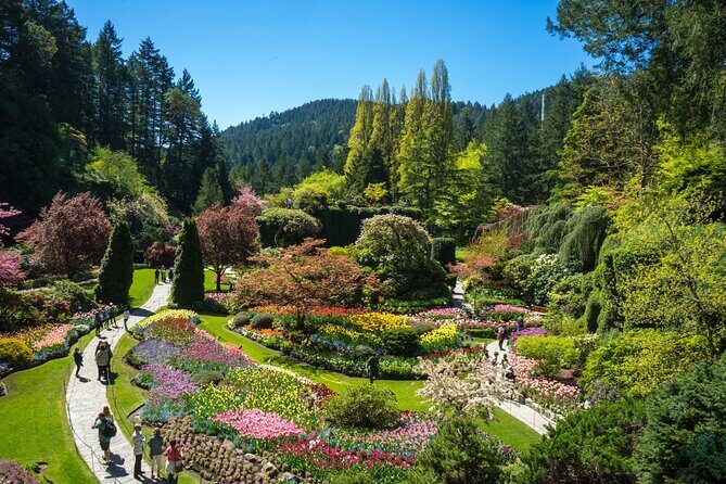 Butchart Gardens Spring & Summer Bloom Highlights (1-6pax) - A Detailed Exploration of the Tour Experience