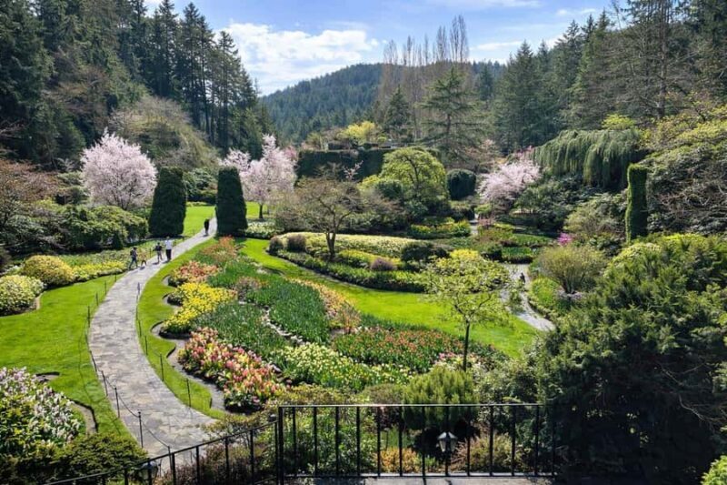 Butchart Gardens Spring & Summer Bloom Highlights (4hr tour) - Exploring Butchart Gardens in Bloom and Beyond