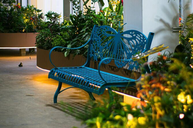 Butterfly Experience Nature Park Admission - A Detailed Look at the Butterfly Experience at Maripozas