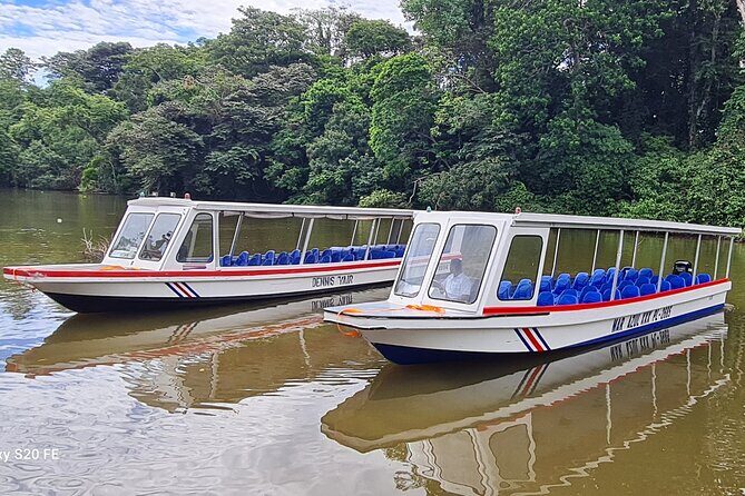 Butterfly Garden & Tortuguero Canals: A Unique Tropical Adventure - Key Points